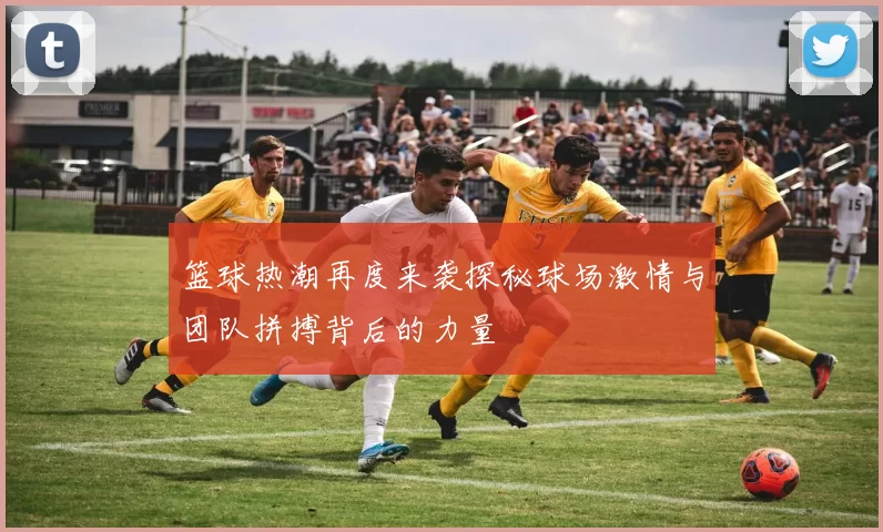 篮球热潮再度来袭探秘球场激情与团队拼搏背后的力量
