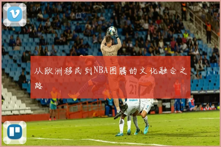 从欧洲移民到NBA图腾的文化融合之路