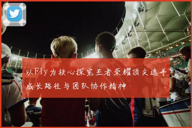 以Fly为核心探究王者荣耀顶尖选手成长路径与团队协作精神