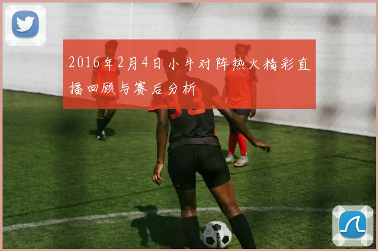 2016年2月4日小牛对阵热火精彩直播回顾与赛后分析