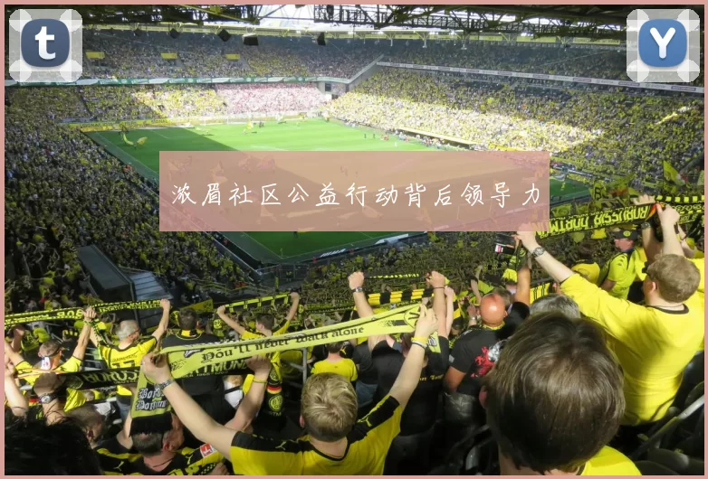 浓眉社区公益行动背后领导力