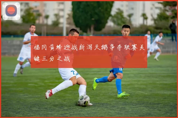 福冈黄蜂迎战新泻天鹅争夺联赛关键三分之战