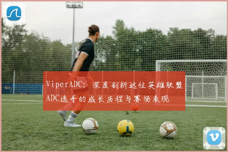 ViperADC：深度剖析这位英雄联盟ADC选手的成长历程与赛场表现