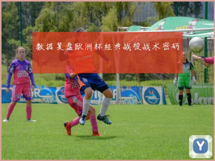 数据复盘欧洲杯经典战役战术密码