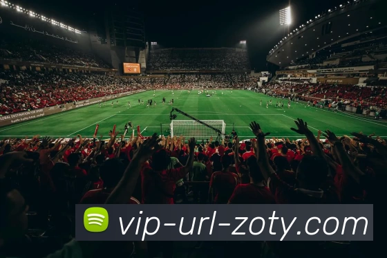 zoty中欧官网平台生态图